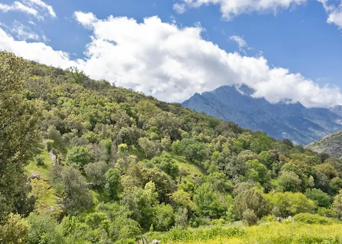 Prázdninový dům Casa Di Babbo *
