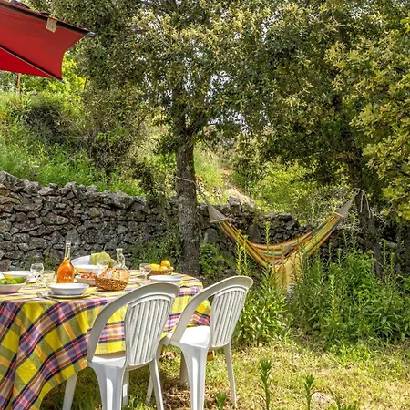 Semesterbostad Casa Di Babbo Olmi-Cappella