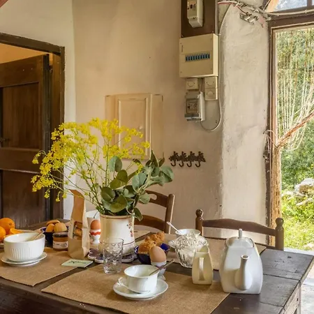 Casa Di Babbo Semesterbostad Olmi-Cappella