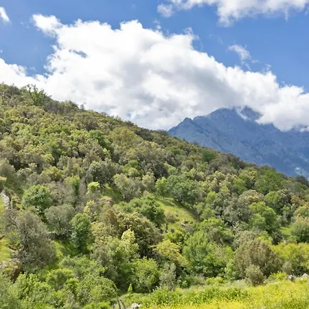 Dom wakacyjny Casa Di Babbo *